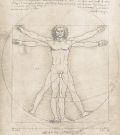 Image: VitruvianMan